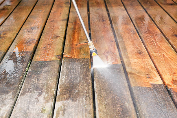 Professional  Pressure Washing in Gotha, FL